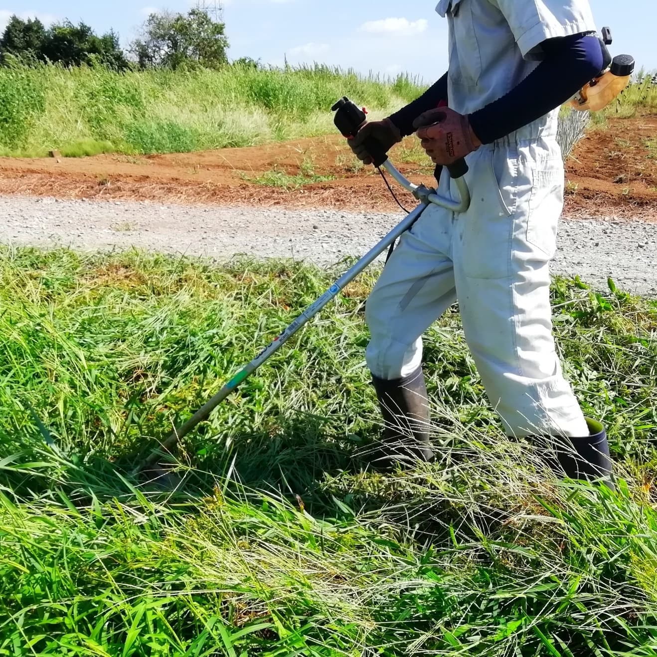草刈り 瀬戸市 | 瀬戸市で草刈りならお庭の窓口瀬戸市