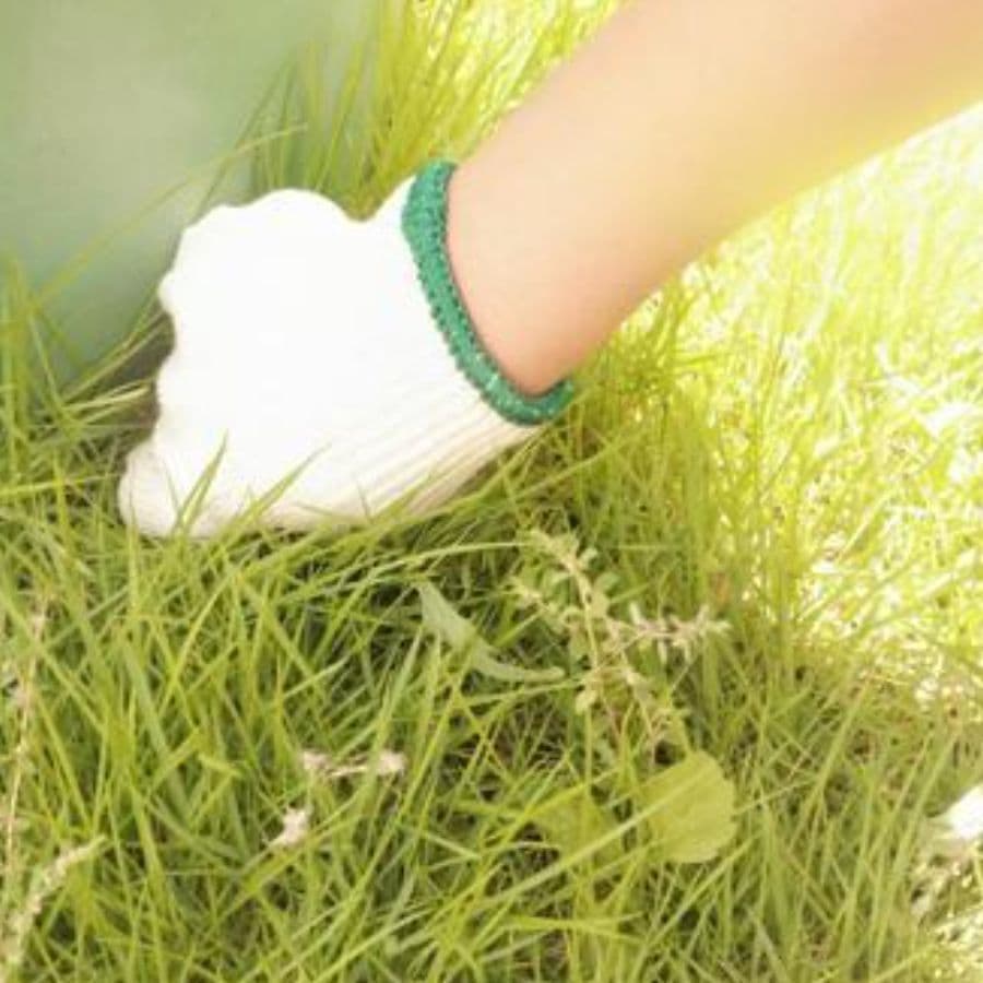 草取り 瀬戸市 | 瀬戸市で草取りならお庭の窓口瀬戸市