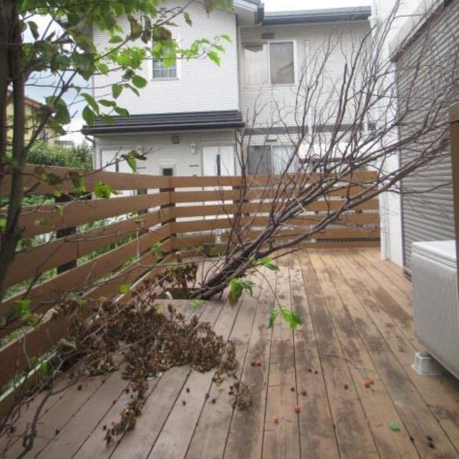 倒木撤去 瀬戸市 | 瀬戸市で庭木の倒木撤去ならお庭の窓口瀬戸市