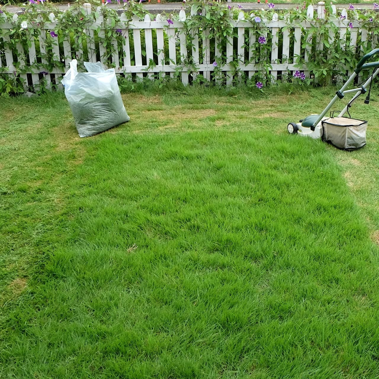 芝生の手入れ 瀬戸市 | 瀬戸市で芝生の手入れならお庭の窓口瀬戸市
