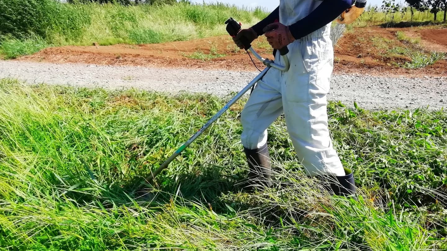 草刈り 瀬戸市 | 瀬戸市で草刈りならお庭の窓口瀬戸市