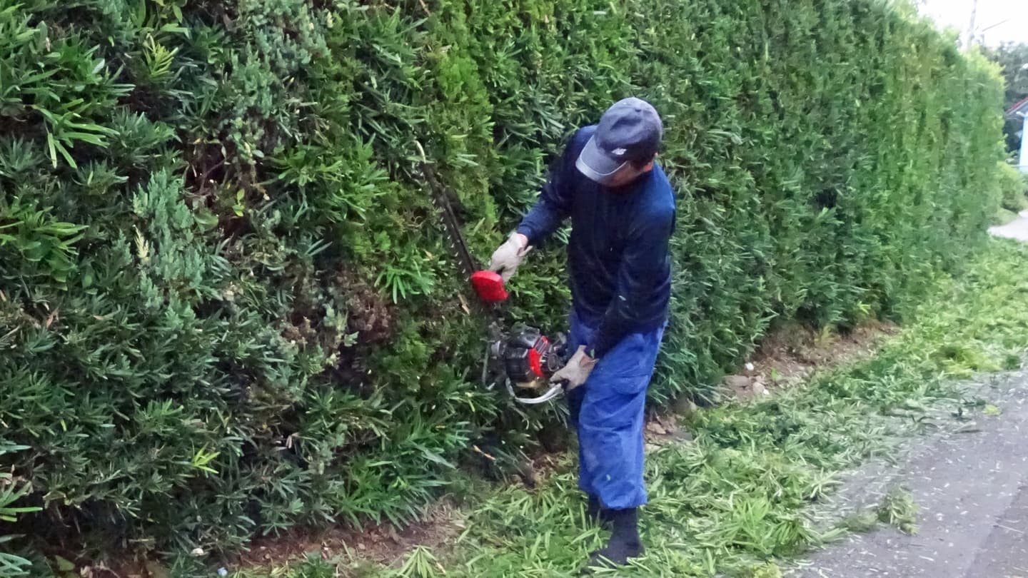 生垣剪定 瀬戸市 | 瀬戸市で生垣剪定ならお庭の窓口瀬戸市