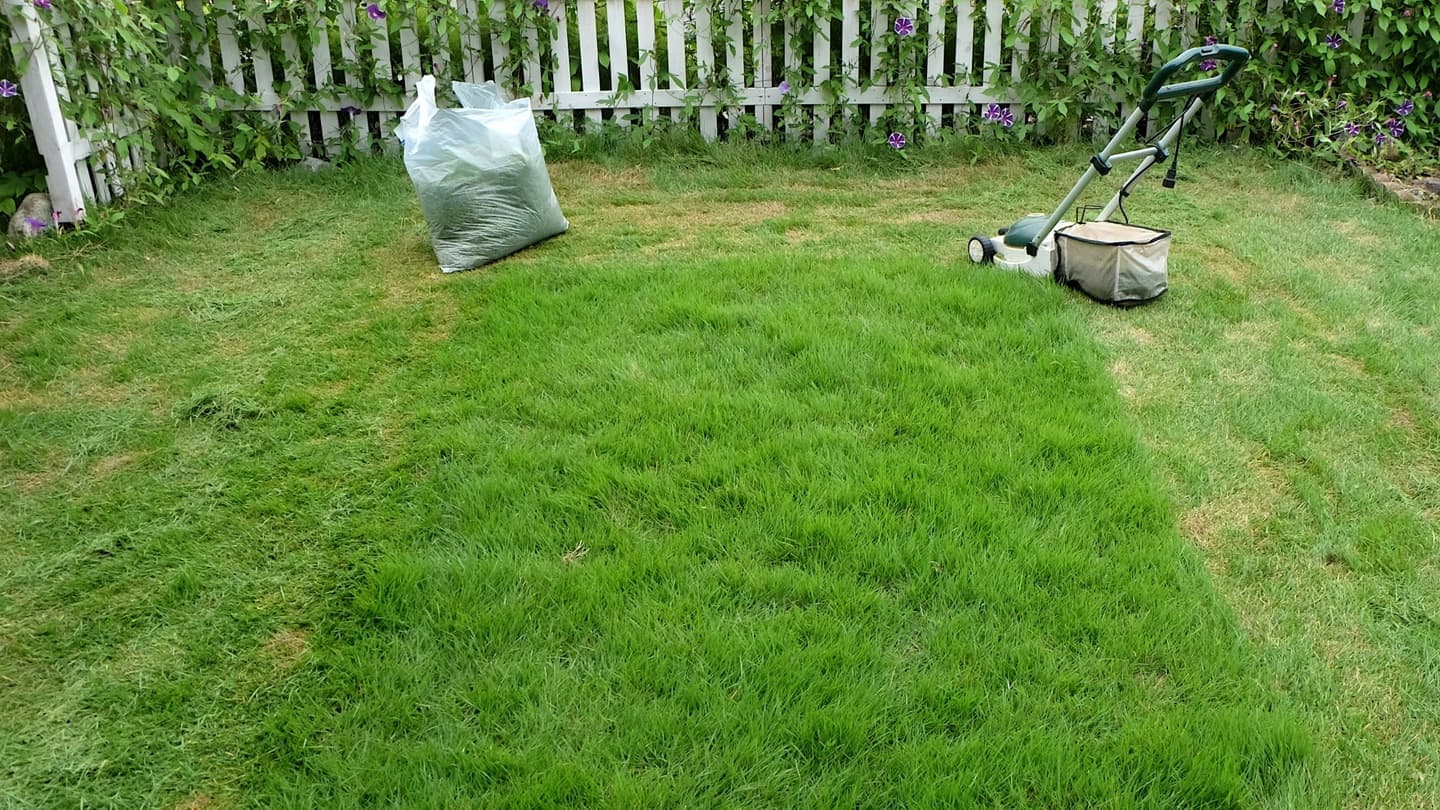 芝生の手入れ 瀬戸市 | 瀬戸市で芝生の手入れならお庭の窓口瀬戸市
