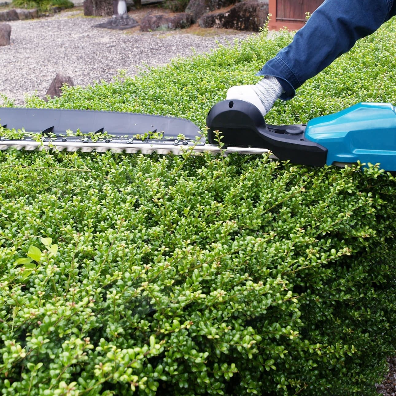 植込み剪定 瀬戸市 | 瀬戸市で庭木の植込み剪定ならお庭の窓口瀬戸市