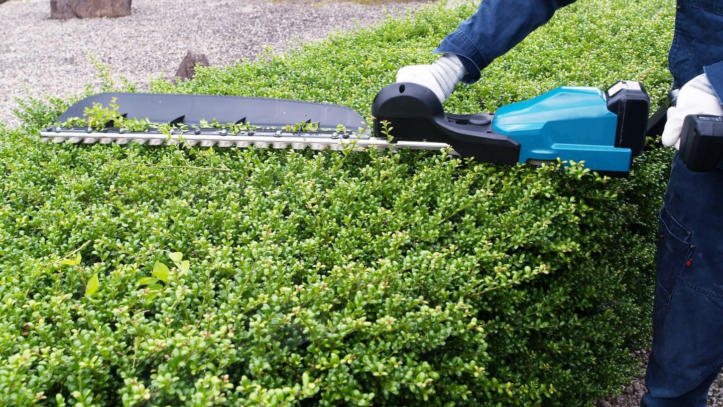 植込み剪定 瀬戸市 | 瀬戸市で植込み剪定ならお庭の窓口瀬戸市