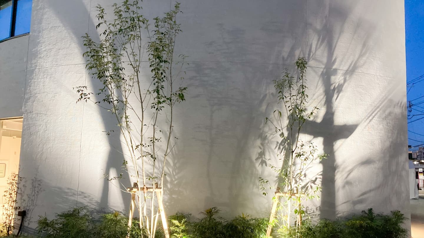 庭木の植栽 瀬戸市 | 瀬戸市で庭木の植栽ならお庭の窓口瀬戸市