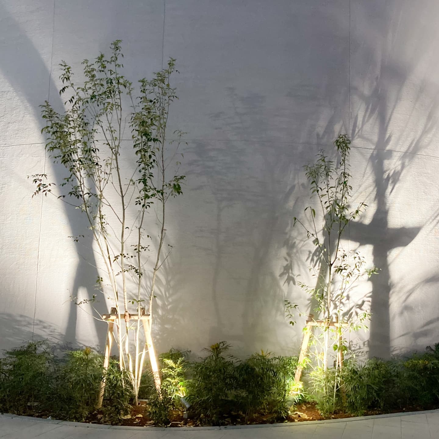 庭木の植栽 瀬戸市 | 瀬戸市で庭木の植栽ならお庭の窓口瀬戸市