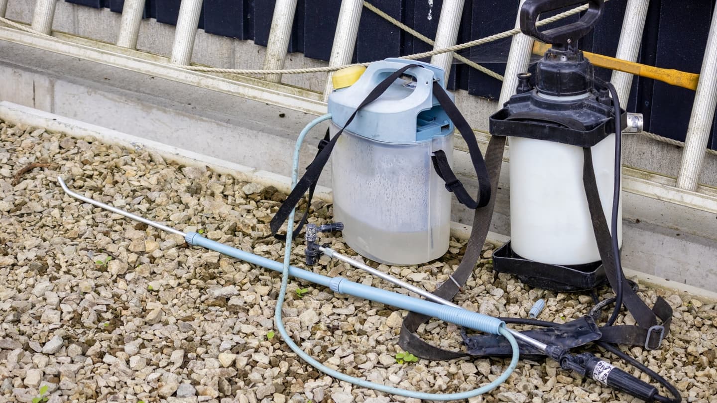 庭木の消毒・害虫対策 瀬戸市 | 瀬戸市で庭木の消毒・害虫対策ならお庭の窓口瀬戸市