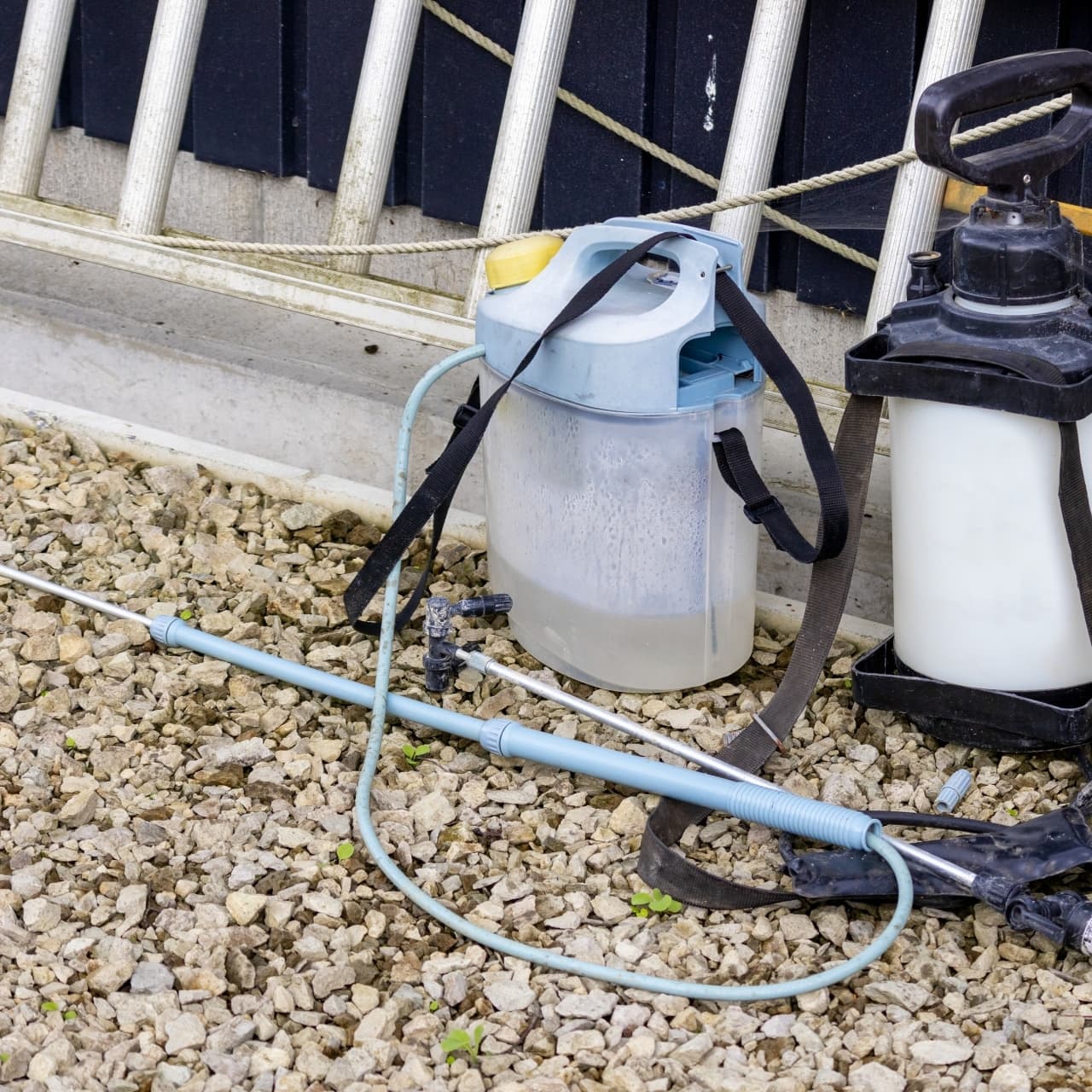 庭木の消毒・害虫対策 瀬戸市 | 瀬戸市で庭木の消毒・害虫対策ならお庭の窓口瀬戸市